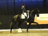 Desperado 201113_1548